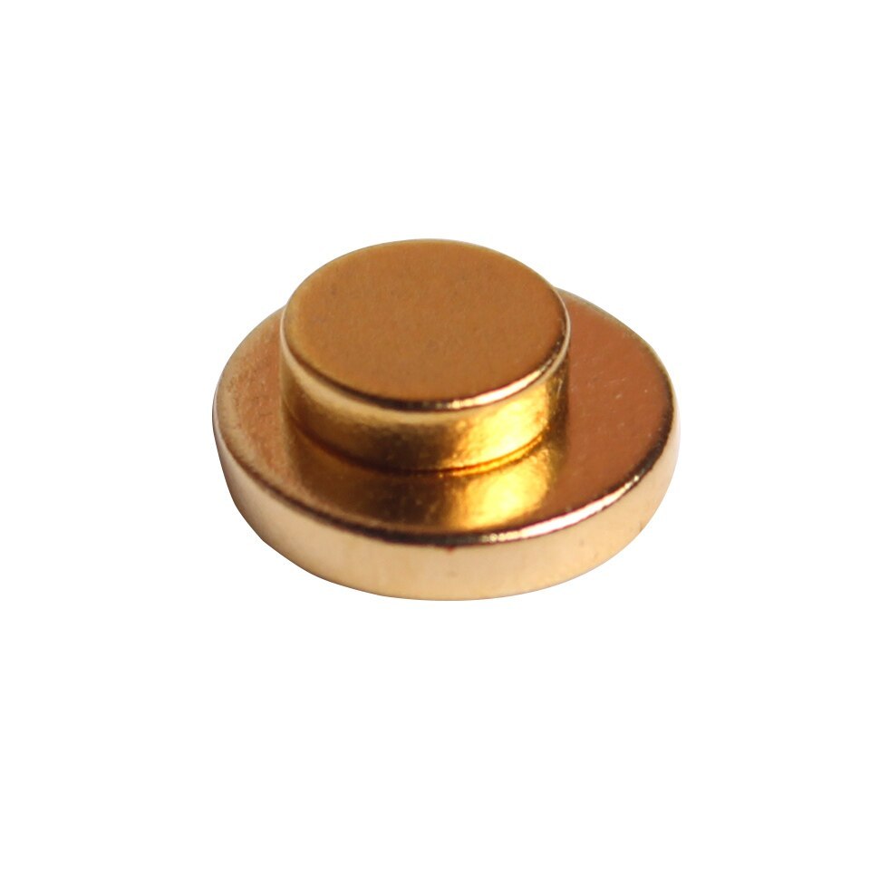 Auricular Therapy Magnet